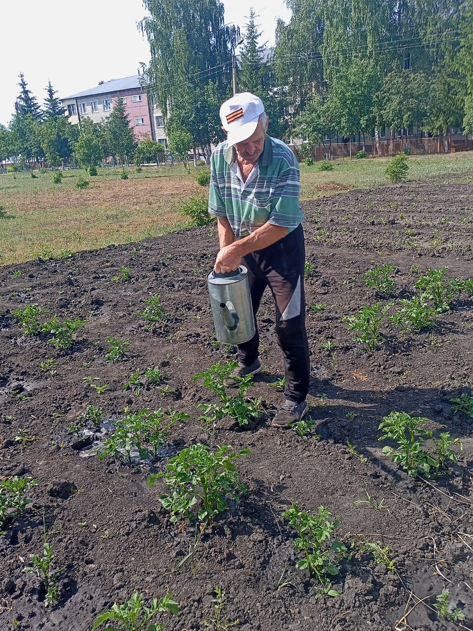 Труд для радости и здоровья