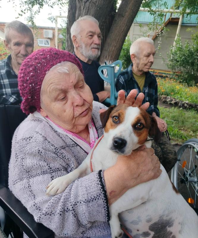Дай, Друг, на счастье лапу мне…