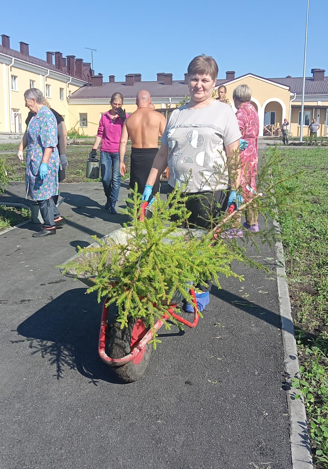Молодые яблоньки украсили новый корпус «Спутника» Молодые яблоньки украсили новый корпус «Спутника»