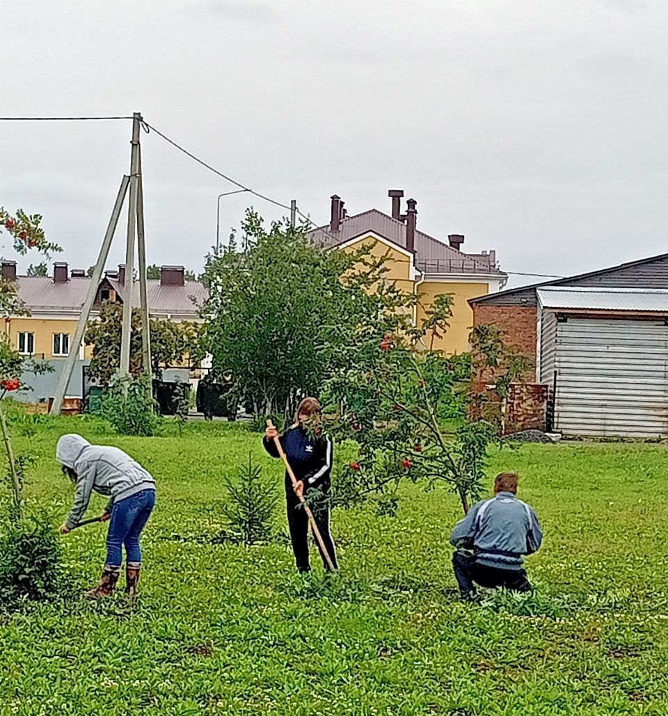 И гроздья рябины радуют глаз…